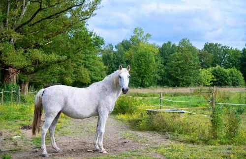 L'Evasion en Pierre Piscine et Étang Privé - Photo 41