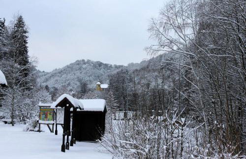 Ferienwohnungen mit Wellnessoase in Thale OT Altenbrak - Foto 41