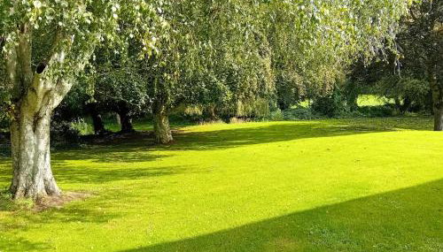 Three miles from the sea - Foto 4, Garden view