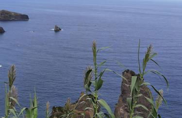 Casa vicente - Foto 32