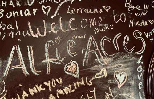 Spacious Cabin with Private Hot Tub, and Private Pool, in 5 Acres - intimate Special stay For 2 Adults - plus 1 child under 2 and up to 2 dogs stay for free - Foto 25