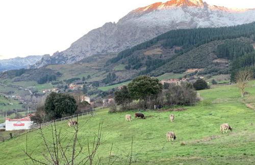 "CHALET A ESTRENAR" MIRADOR DE LA VENTOSA-Potes - Photo 6