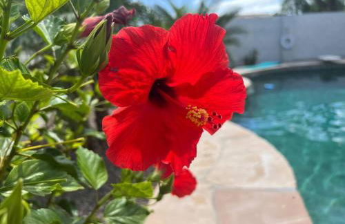 Edgemont Escape - Foto 26