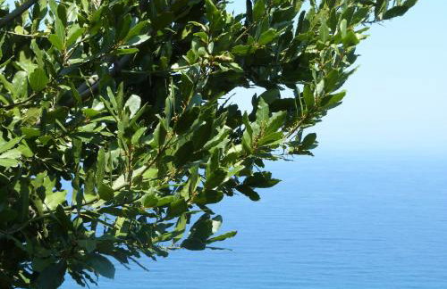 Balcony on the Rocks - Foto 37