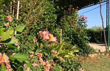 Appartamento da Vjeri - Foto 25