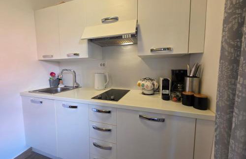 Apartment HUM-the smallest town in the world - Photo 15