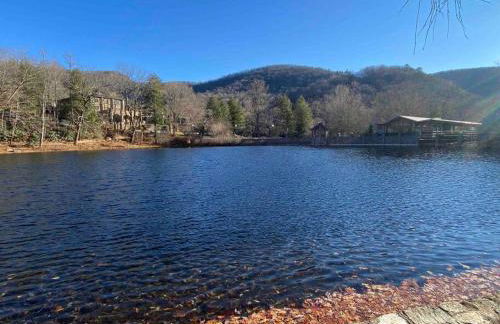 Montreat Round House - mountain views, renovated - Foto 17