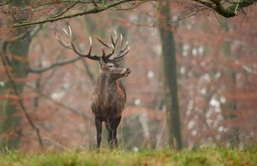 Mirador Rioja alta golf - Foto 42