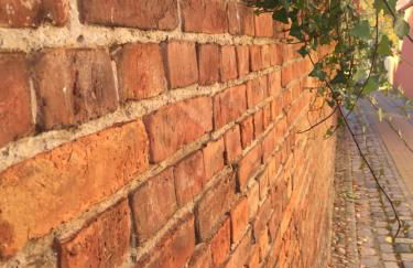 Peeneurlaub - Foto 50