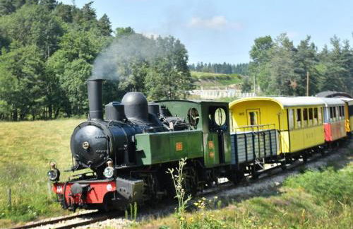 Haute-loire Tence Belle maison neuve plain-pied 4 étoiles avec parc arboré clos - Foto 18