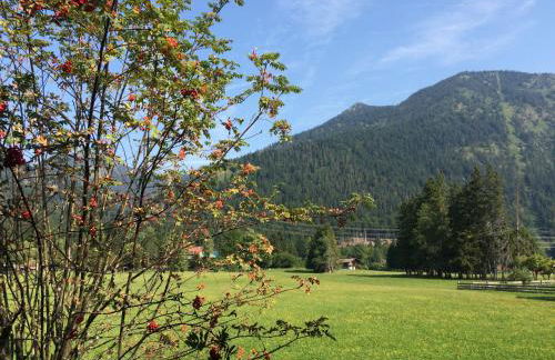 Ferienwohnung am Walchensee - Foto 24