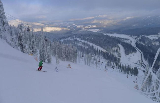 Ferienhaus aus Holz in der Nahe des Skigebiets - Photo 41