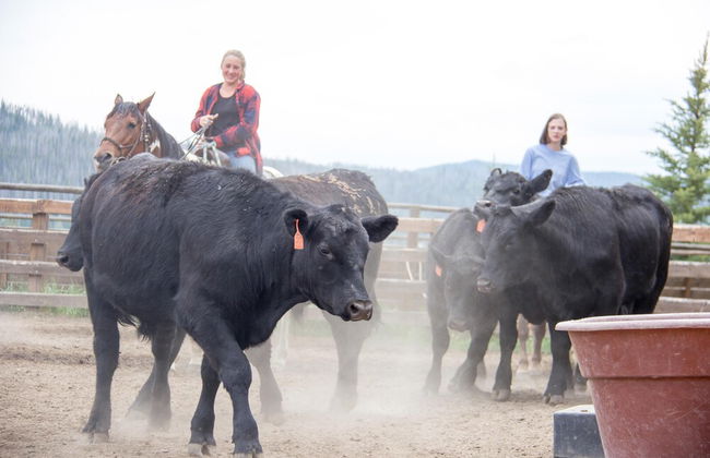 Vista Verde Ranch All-inclusive - Adults Only - Foto 26