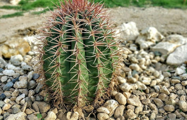 Sunrise Villa On The Beach - Foto 49