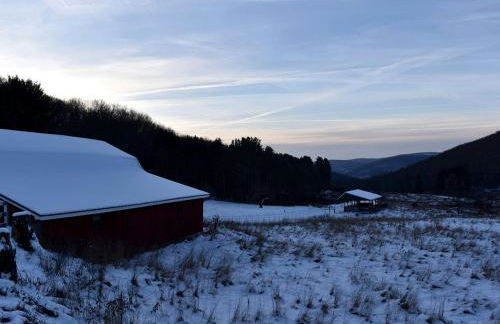 Charming Cabin on 1,000-Acre Farm in Westfield, Pennsylvania - Foto 21