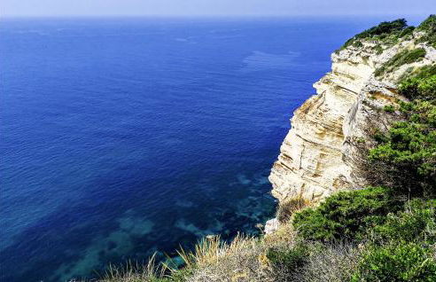 Hacienda Campo De Borja - Foto 40