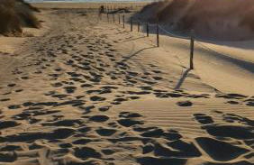 Peacehaven, Ynyslas, Borth - Photo 18