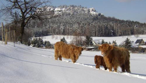 Alter Gutshof Papstdorf - Foto 3