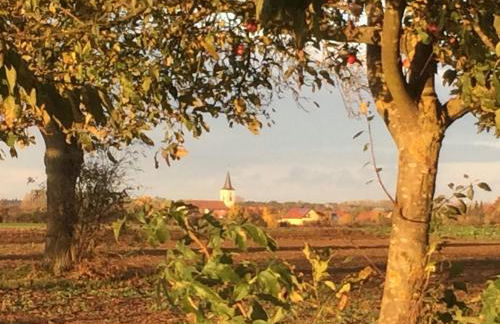 Alte Heimat - Foto 9