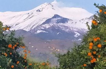 aranceto dell'Etna - Foto 9