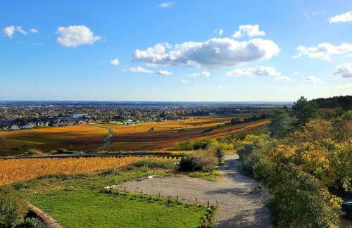 La Maison de l'Ecu : charme et vue incroyable - Foto 30