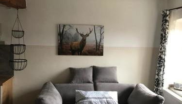 Gestüt Tiefenhof - Foto 2