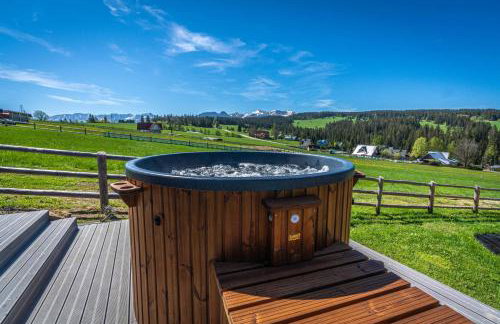 Domki-Przystanek Dzianisz - Foto 16