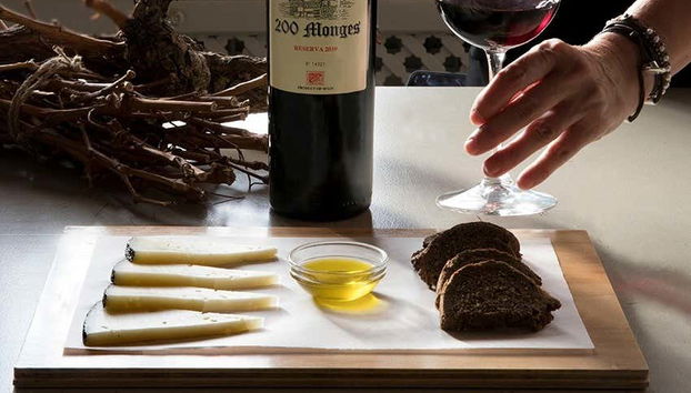 Bodegas Vinícola Real Tour - Foto 2