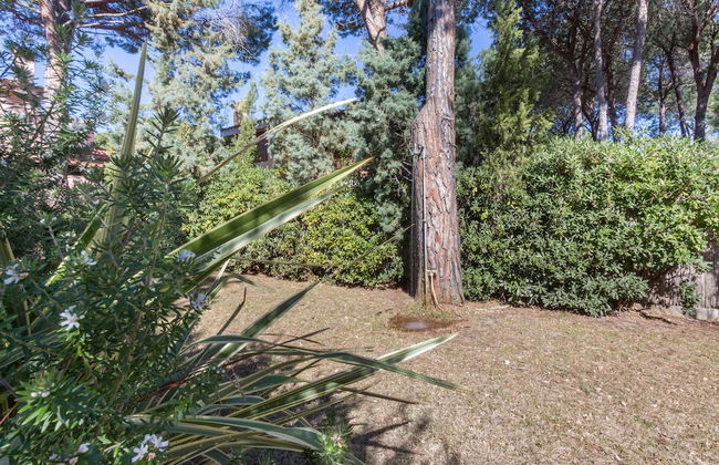 Villa Corallo - Photo 68