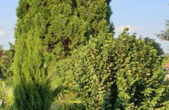 Ferienwohnung Weingut Leis - Foto 52