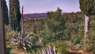 Castellina di Bocco - Foto 4, Garden