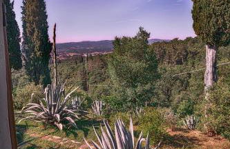 Castellina di Bocco - Foto 4