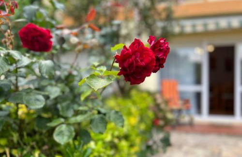 Casa Piedrahita - Monabri - Foto 10