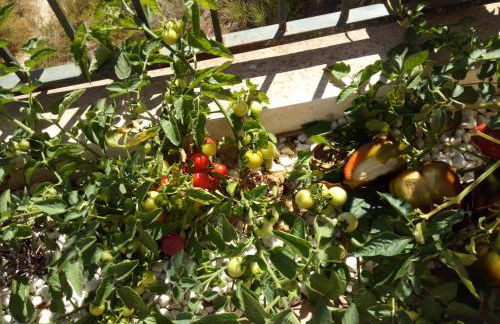 Casa Montemar Algorfa Spain - Foto 22