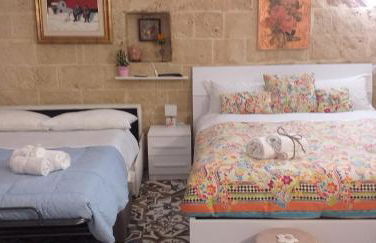 Le camelie - Foto 38