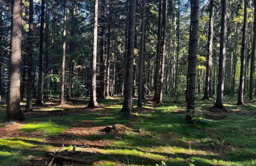 Sielanka Chwaliszów dom całoroczny - Foto 36