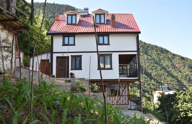 NANAGA 1883 - Foto 1