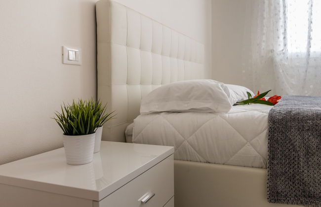 Cimadolmo Prosecco and History - Photo 13