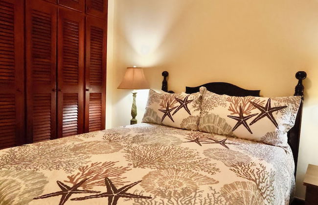 Tara Del Sol - Photo 37