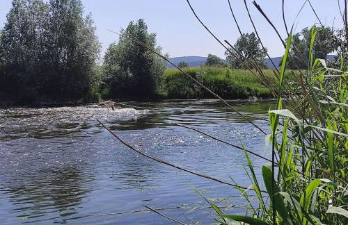 cosyTinyhouse Großburschla - Foto 24