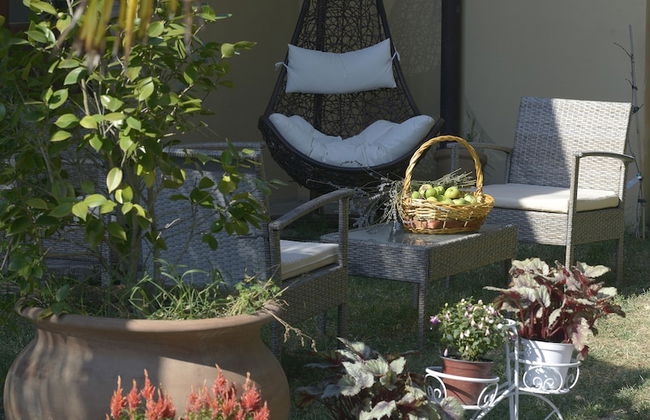 Bio Agriturismo Valle dei Calanchi - Foto 63