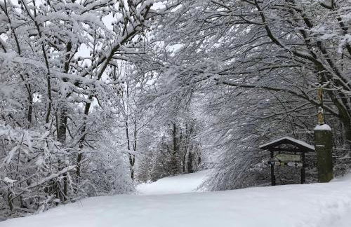 Ferienwohnung Schwendner - Foto 30