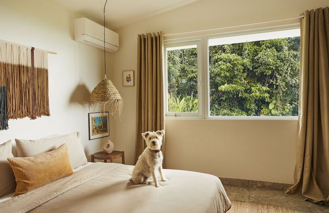 WALD HAUS by DW - Foto 4