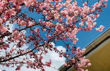 Luxury Villa - JessApart Walendia - Foto 57