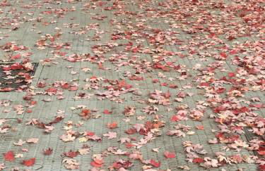 SkyLinePamplona - Photo 16