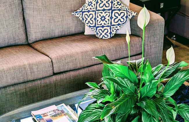 La Rocher Eco Retreat - Foto 20