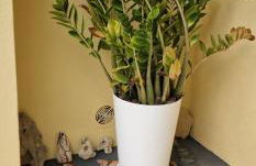 Casa da Açoteia - Bright City Center Apartment with a Private Outdoor Terrace - Foto 57