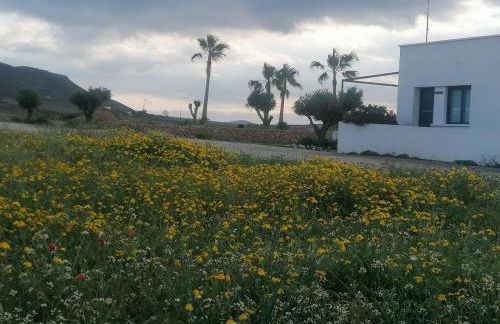 Apartamentos MadreSelva - Foto 32