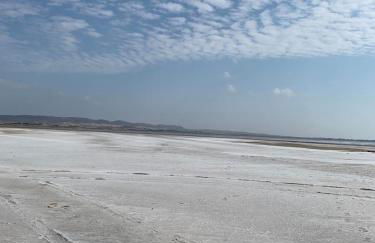 Jimmy's Crib - Photo 9