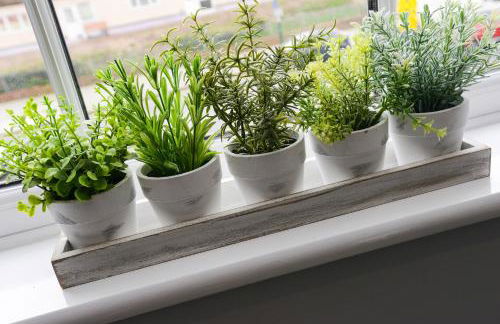 Arena Apartments - Stylish and Homely Apartments by the Ice Arena with Parking - Photo 86